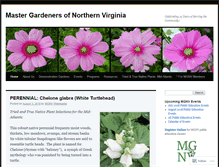 Tablet Screenshot of mgnv.org